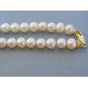 Zlatá dámska retiazka náhrdelnik perlový žlté zlato DR443196Z 14 karátov 585/1000 31.96g