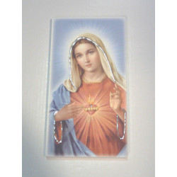Maľovaný obraz Panny Márie strieborné detaily D-F189255