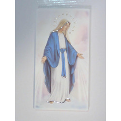 Maľovaný obraz Panny Márie F189579