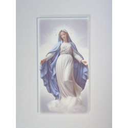 Maľovaný obraz Panna Mária F189245
